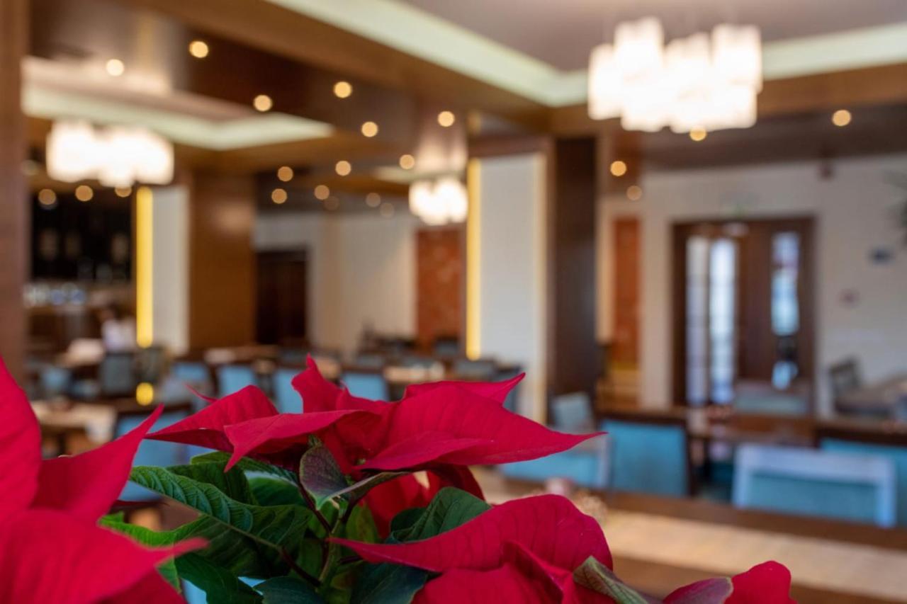 Hotel Buchenland Gura Humorului Buitenkant foto